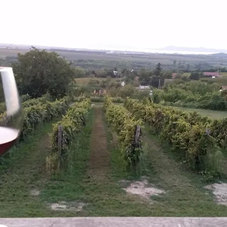 Szatmari Vendeghaz * Balatonlelle