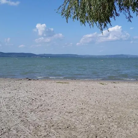 Szatmari Vendeghaz Holiday home