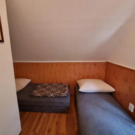 Szatmari Vendeghaz Holiday home *