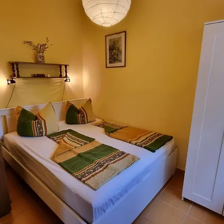 Szatmari Vendeghaz Holiday home