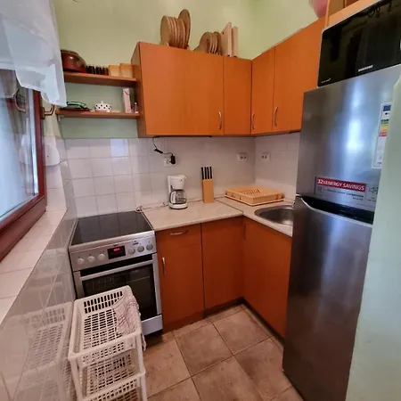 Szatmari Vendeghaz Holiday home