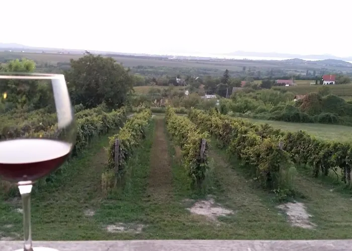 Szatmari Vendeghaz * Balatonlelle